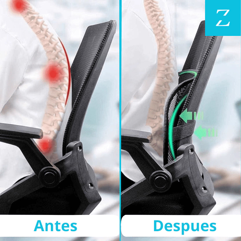 Soporte Espalda Lumbar Adaptable